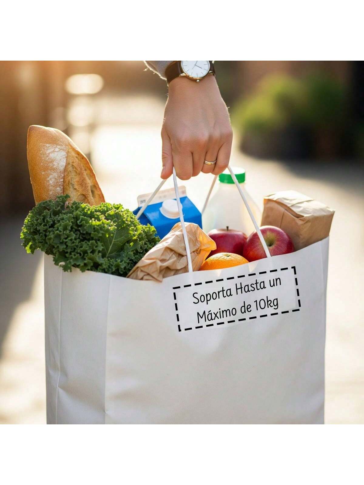 Bolsa Kraft con Agarradera 27x21x11cm | 50pzs