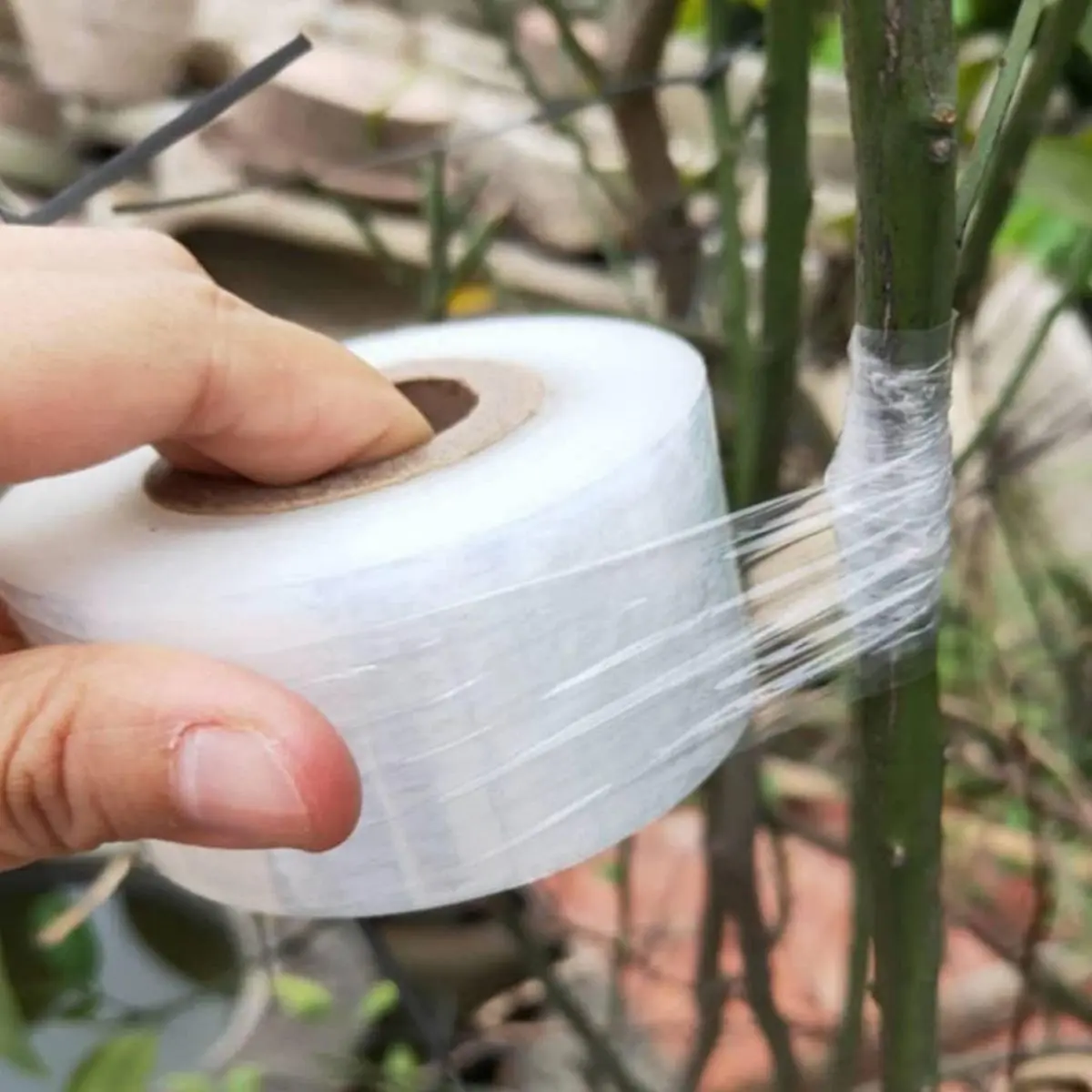 Rollo de Playo Chico Polystretch Emplaye | Estirable Injerto Trasplante Jardinería Industria